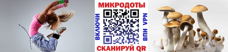 Галлюциногенные грибы Magic Shrooms  Буй 